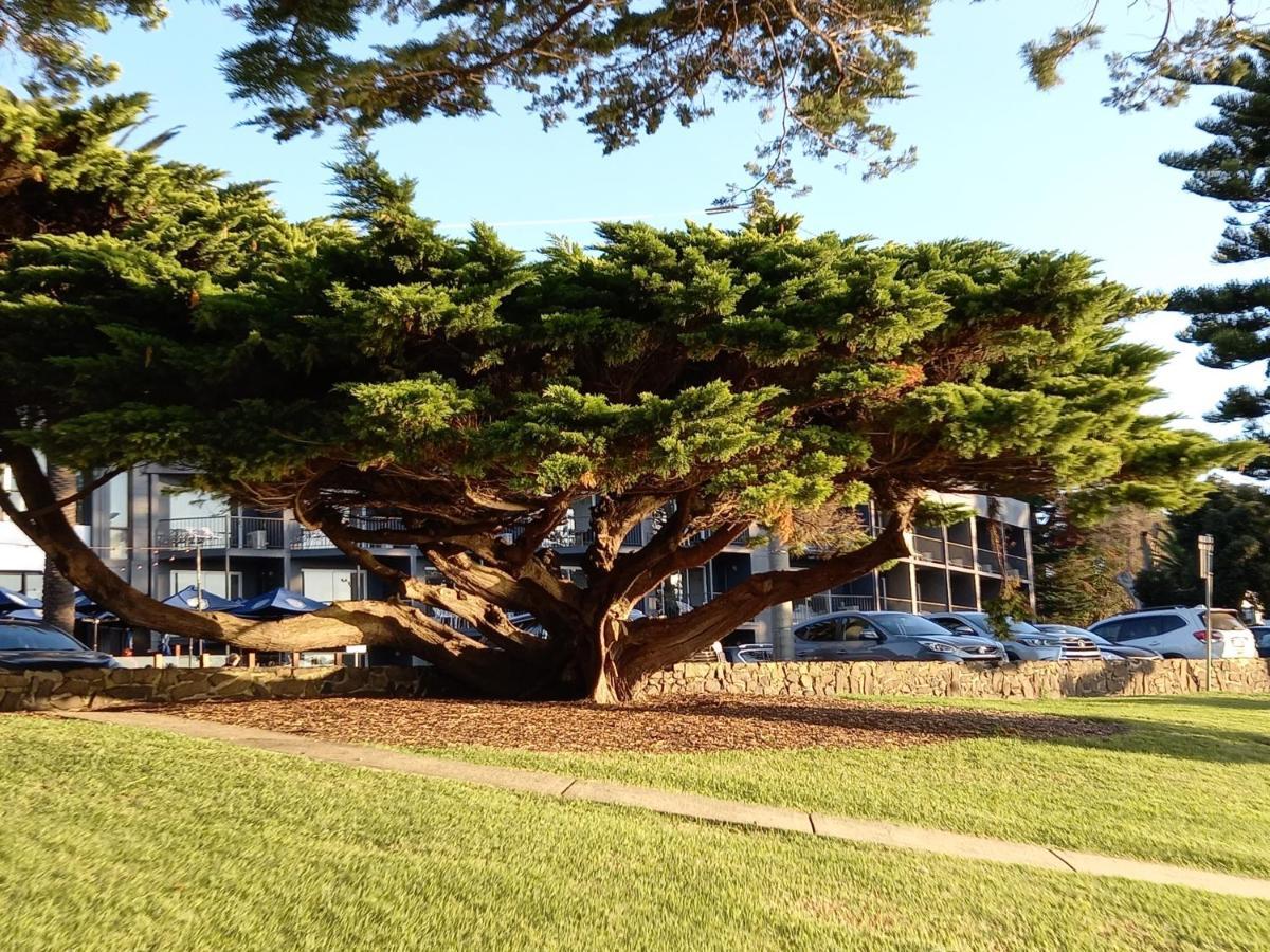 Apartments In Phillip Island Towers - Block C Коув Экстерьер фото
